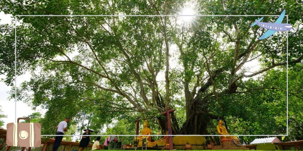 วัดต้นโพธิ์ศรีมหาโพธิ ต้นโพธิ์เก่าแก่ที่สุดในประเทศไทย